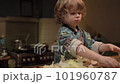 A little boy cuts an cabbage in the kitchen 101960787