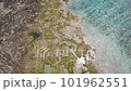 沖繩王子島南海岸 101962551