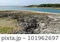 從沖繩王子島海灘到天空的鳥瞰圖 101962697
