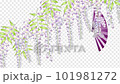 紫藤花折扇動畫視頻 101981272