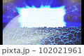 ライブ会場のビデオ 102021961