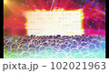 ライブ会場のビデオ 102021963
