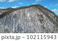 日本の北海道の帯広の雪景色をドローン空撮 102115943