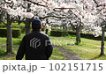 桜の道を歩く人 102151715