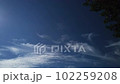 Lonely cirrus clouds in the blue sky 102259208
