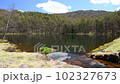 Shrine pond 102327673
