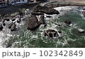 DJI MavicAir aerial photography Oarai coast 102342849
