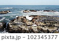 DJI MavicAir aerial photography Oarai coast 102345377