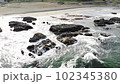 DJI MavicAir aerial photography Oarai coast 102345380