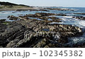 DJI MavicAir aerial photography Oarai coast 102345382