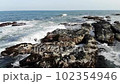 DJI MavicAir aerial photography Oarai coast 102354946