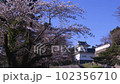 c 102356710