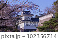 満開の桜と仙台城の隅櫓 102356714