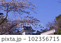 満開の桜と仙台城の隅櫓 102356715