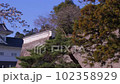 満開の桜と仙台城の隅櫓 102358929