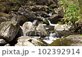 Mountain clear stream 102392914
