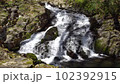 Mountain clear stream 102392915