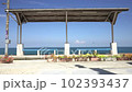A dragonfly flying at a station overlooking the sea in late summer 102393437