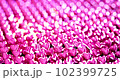 Abstract background consist of row of heart glossy pink loop motion. 102399725