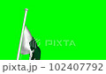 Pakistan Flag waving green screen animation. Concept 14 August, Independence Day, 23 march Pakistan Day 102407792
