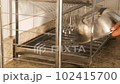 洗い物 ボウル 取る 拭く 102415700
