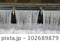 Two doves drinking water from a fountain waterfall 102689879