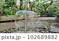 Water of a fountain splashing water drops in botanical garden 102689882