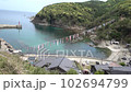 鎧港こいのぼり 102694799
