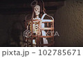 eerie dungeon: spooky skeleton in cage footage - dark, haunting, and mysterious 102785671