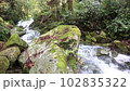 Seven Waterfalls 102835322