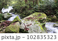 Seven Waterfalls 102835323