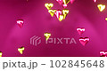 two hears color consist of gold and pink metallic shades are falling down, golden hearts and pink hearts 102845648