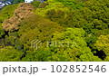 Fresh green mountain trees. 102852546