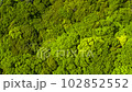 Fresh green mountain trees. 102852552