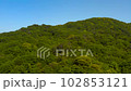 Looking around from Aburayama in Fukuoka City to Fukuoka Tower. 102853121