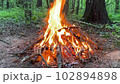 Bonfire in the forest. Camp Fire in the forest, flames and sparks, beautiful nature. Rest in the forest, camping. 102894898