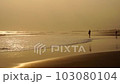 a girl walks along the seashore 103080104