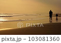 a man runs along the ocean at sunset, a young man trains on the shore of a tropical beach, Indonesia. 4k 103081360