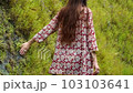a hedge, a sporty woman walking through a large green garden with trimmed bushes and ivy on the wall in the golden rays of the bright sun of the sun 103103641