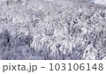 Aerial Drone Flying through Winter Forest with Hoar Frost.  Shot in Wisconsin on the DJI Air 2s in December.  Beautiful white ice and snow covered trees. 103106148