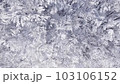 Aerial Drone Flying through Winter Forest with Hoar Frost.  Shot in Wisconsin on the DJI Air 2s in December.  Beautiful white ice and snow covered trees. 103106152
