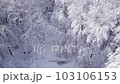 Aerial Drone Flying through Winter Forest with Hoar Frost.  Shot in Wisconsin on the DJI Air 2s in December.  Beautiful white ice and snow covered trees. 103106153