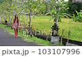 beautiful young woman walks through a tropical park, a religious place in indonesia 103107996