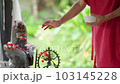 A man on a summer veranda in Indonesia performs a ritual in front of the altar with the Hindu god Lord Shiva Lingam, sprinkles flowers 103145228