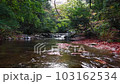 初秋的溪流 103162534