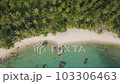 Aerial view white sand tropical beach coconut palm tree summer vacation relax background 103306463
