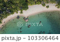 Aerial view white sand tropical beach coconut palm tree summer vacation relax background 103306464