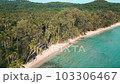 Aerial view white sand tropical beach coconut palm tree summer vacation relax background 103306467