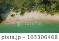 Aerial view white sand tropical beach coconut palm tree summer vacation relax background 103306468