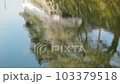 桜 103379518
